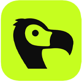 Stripe/Dodo Payments