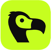 Stripe/Dodo Payments